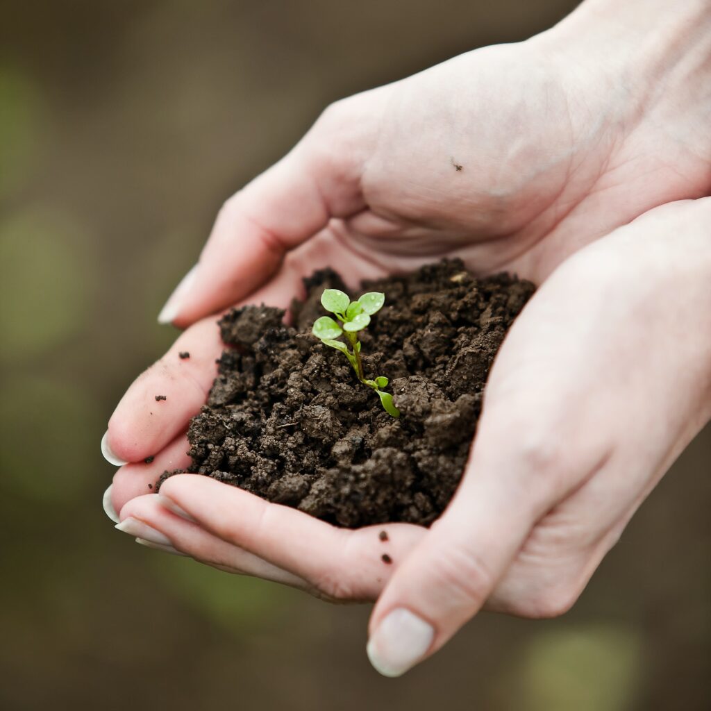 hand-holding-a-fresh-young-plant-symbol-of-new-life-and-environ-1