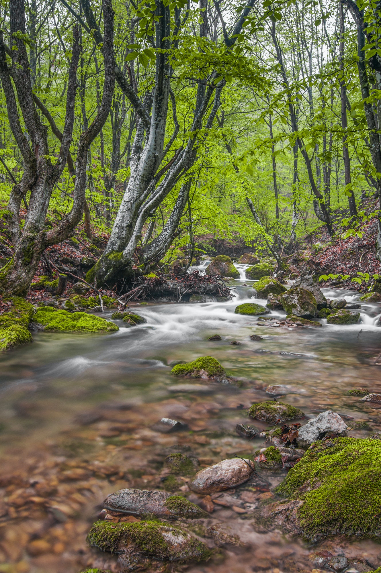 mountain-waterfall-covered-in-fog